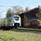 Schwarzbachtalbahn bei Neidenstein 20.4.2022