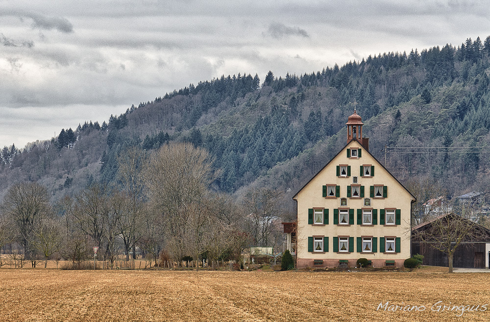 Schwarzbald 2012