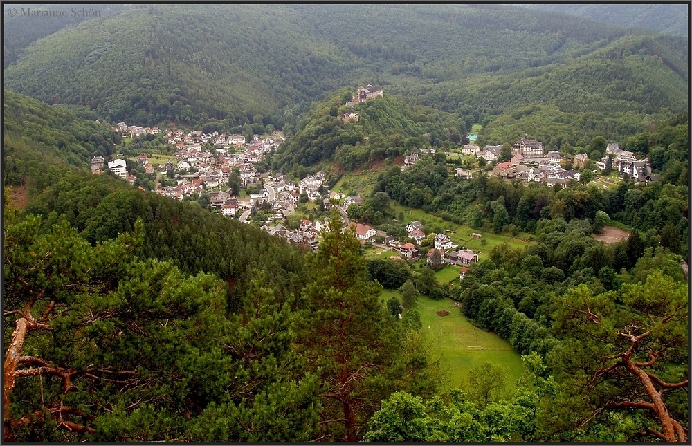 Schwarzburg im grünen Umfeld...