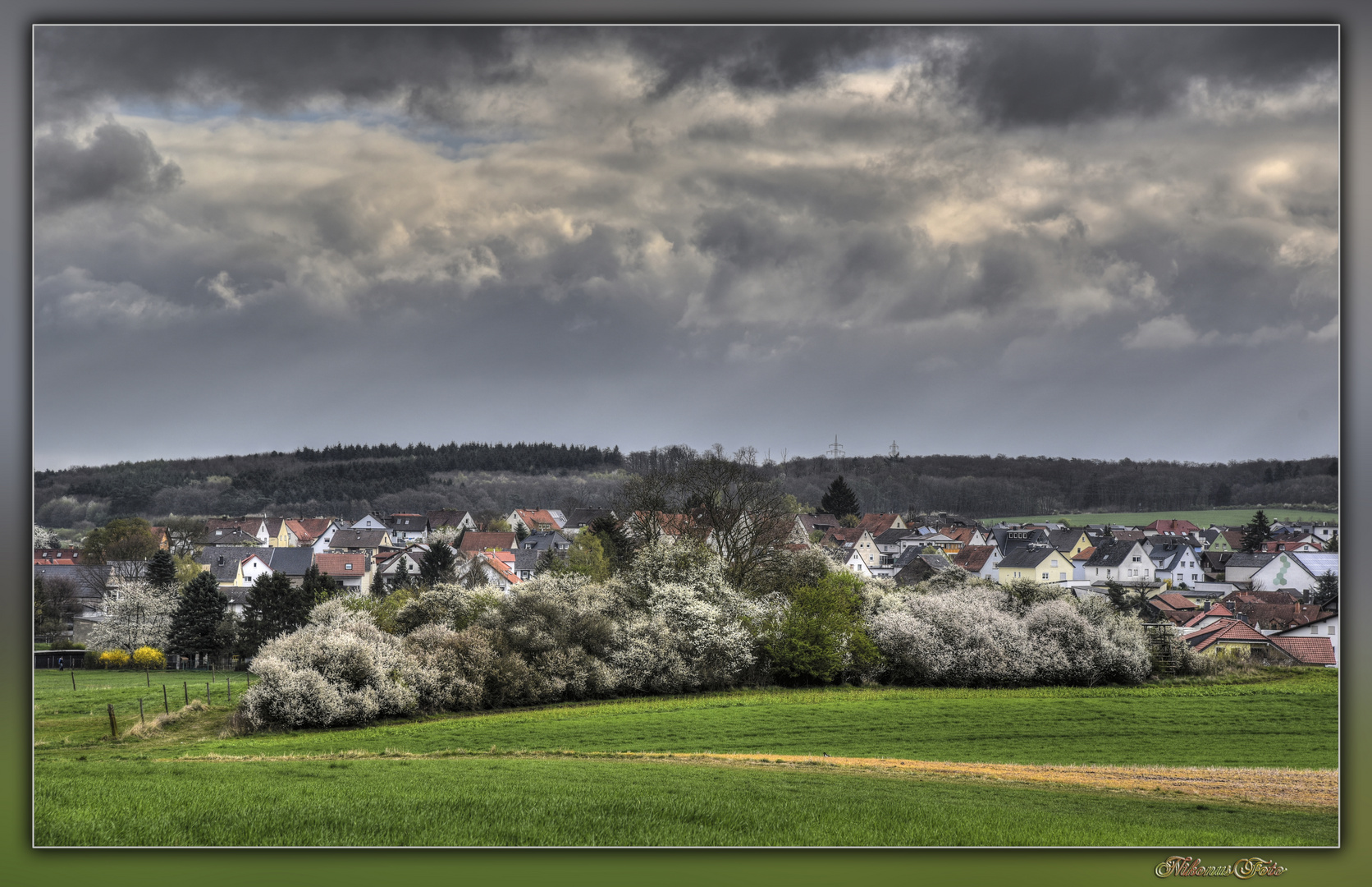  Schwarzdornhecke 