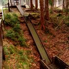 Schwarze-Bingenschacht am Bergbaulehrpfad Eibenstock