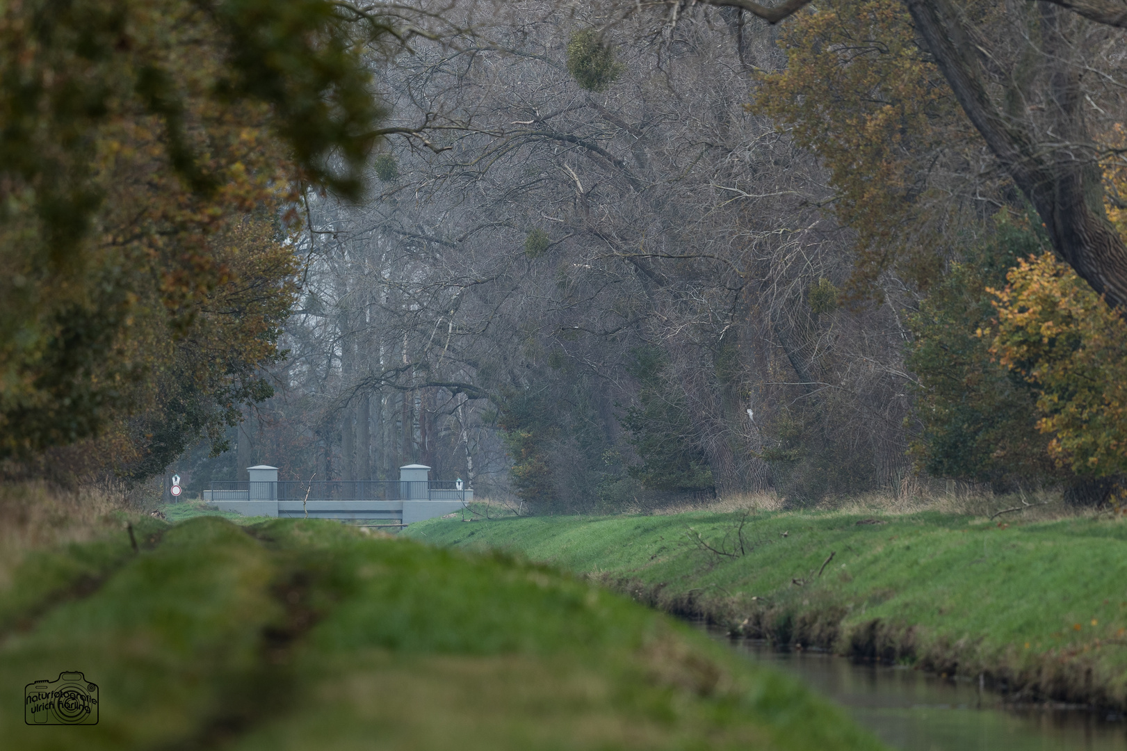 Schwarze Brücke