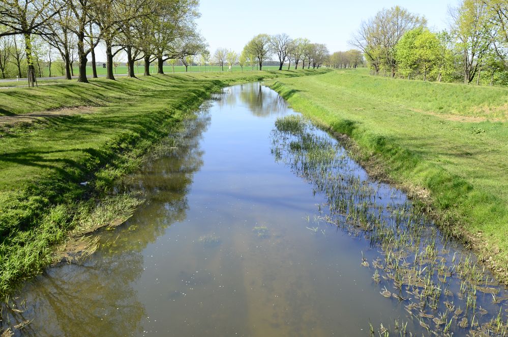 Schwarze Elster Foto &amp; Bild | world, spezial, natur Bilder auf ...