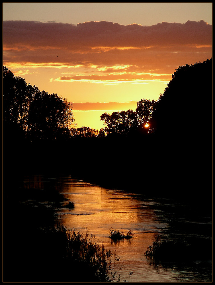 .Schwarze Elster Sunset. by MarioDD