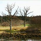 SCHWARZE LAKE BEI ANDECHS-OBB