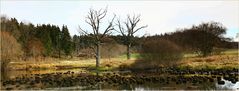 SCHWARZE LAKE BEI ANDECHS-OBB