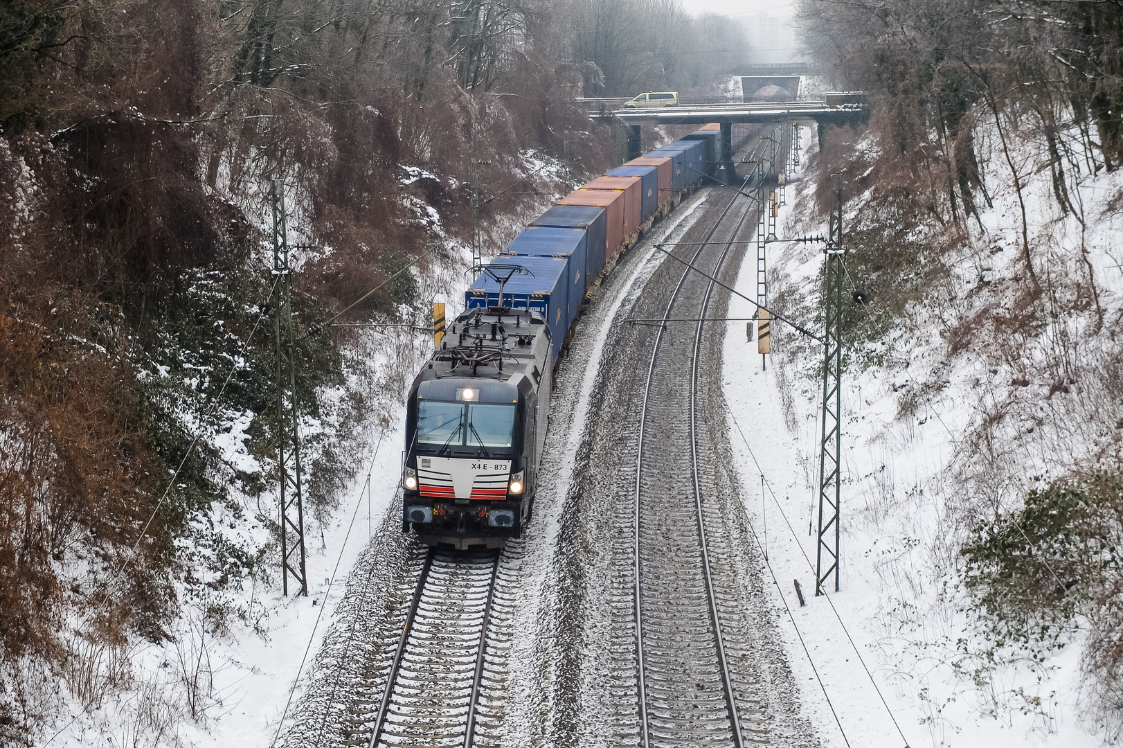 Schwarze Lok im Schnee