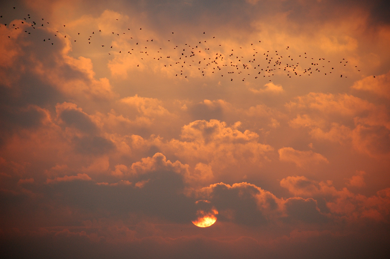 "Schwarze Sonne" in Aventoft