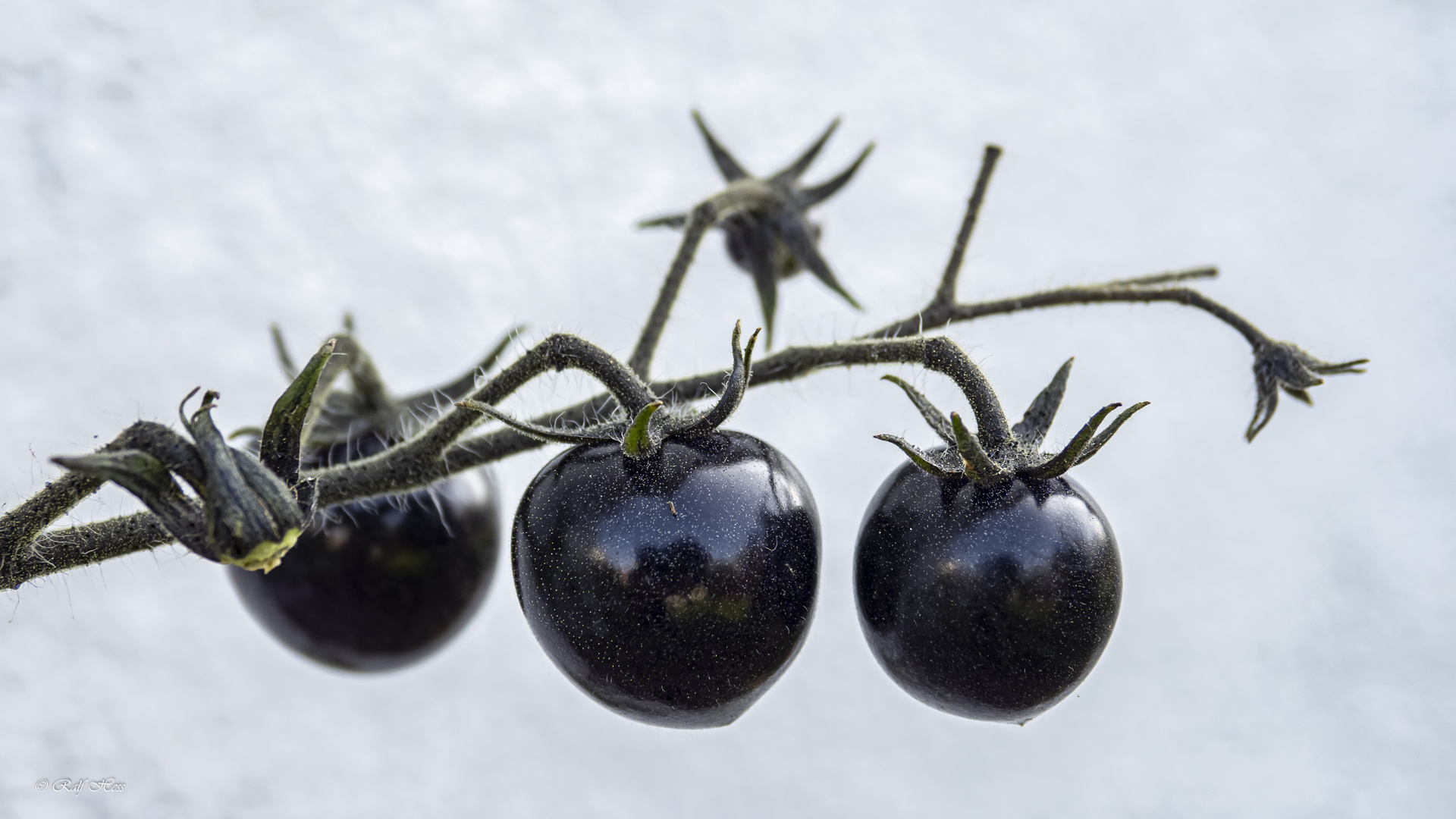 Schwarze Tomaten