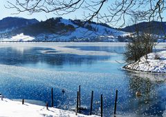 Schwarzeispusteln