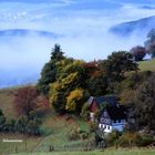 Schwarzenau, Wittgenstein