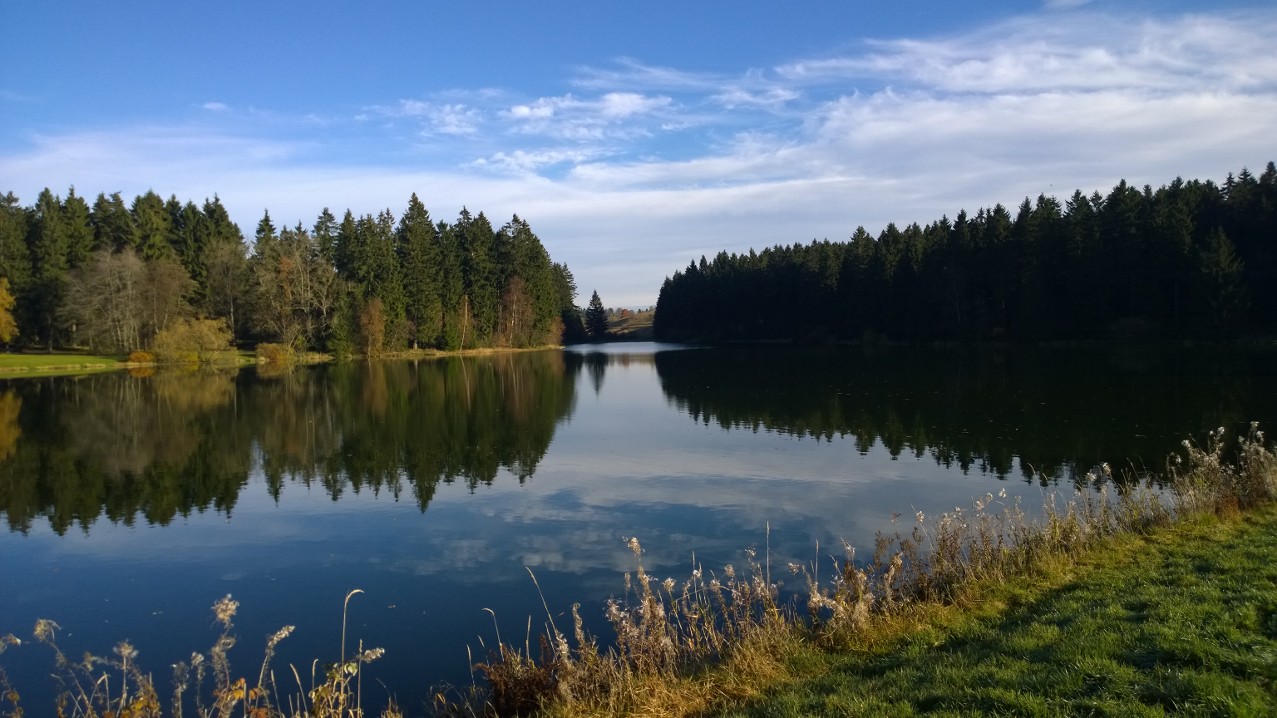 Schwarzenbacher Teich/ Clausthal Zellerfeld