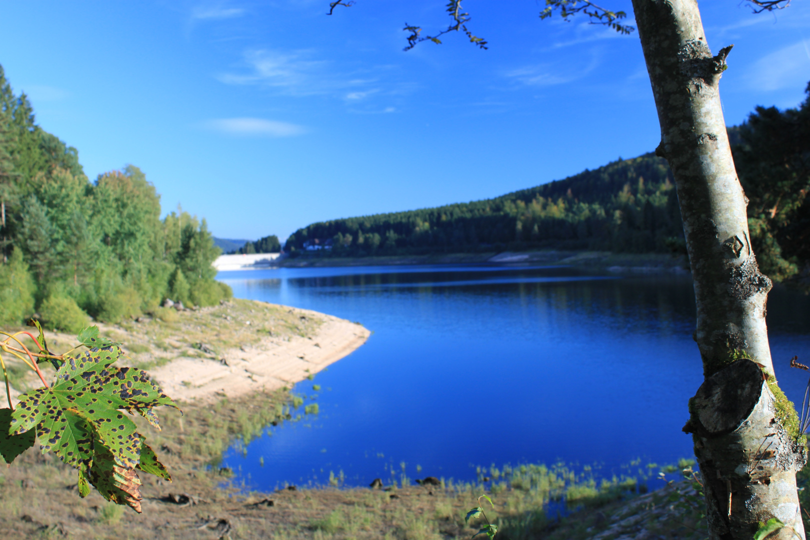 Schwarzenbachtalsperre