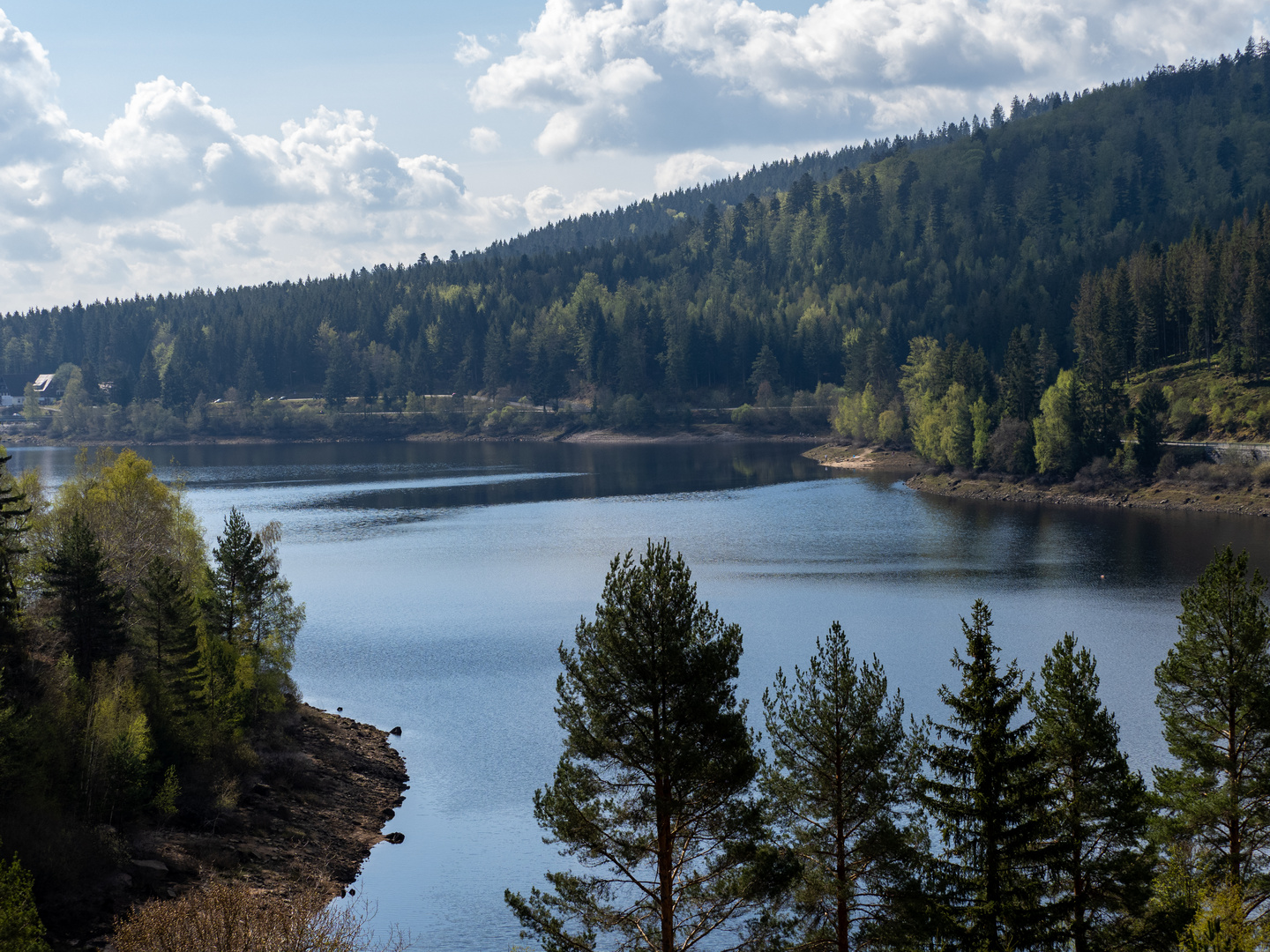 Schwarzenbachtalsperre im Nationalpark Nordschwarzwald