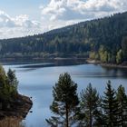 Schwarzenbachtalsperre im Nationalpark Nordschwarzwald