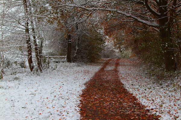 Schwarzenbrooker Weg