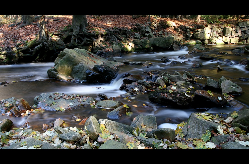 Schwarze_Pockau_im_Herbst