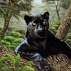 Schwarzer Leopard mit Nachtfaltern