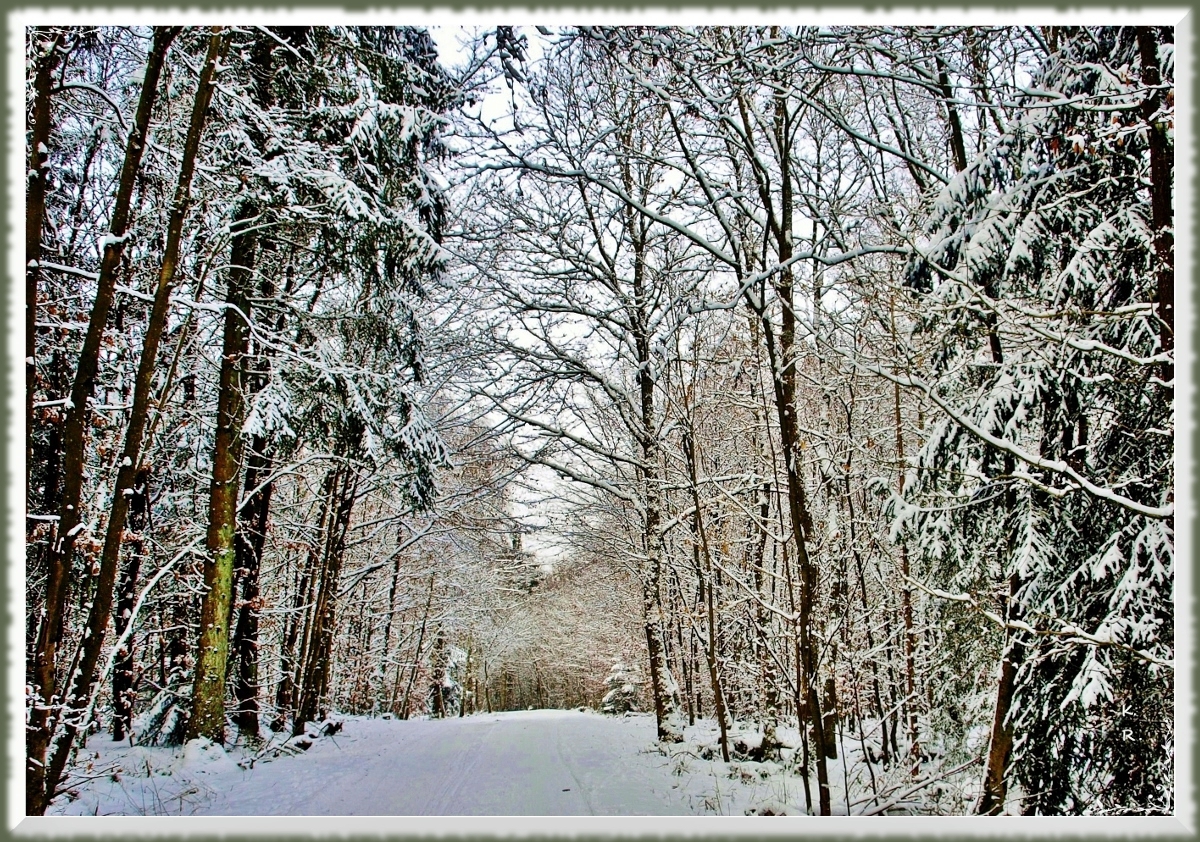 Schwarzer Mann in der Eifel