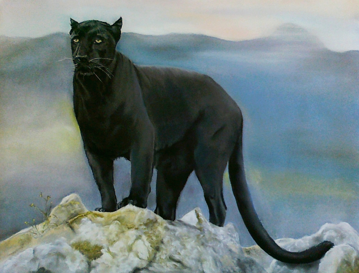 schwarzer Panther - endlich fertig