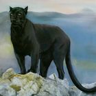 schwarzer Panther - endlich fertig