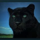 Schwarzer Panther-Fantasy