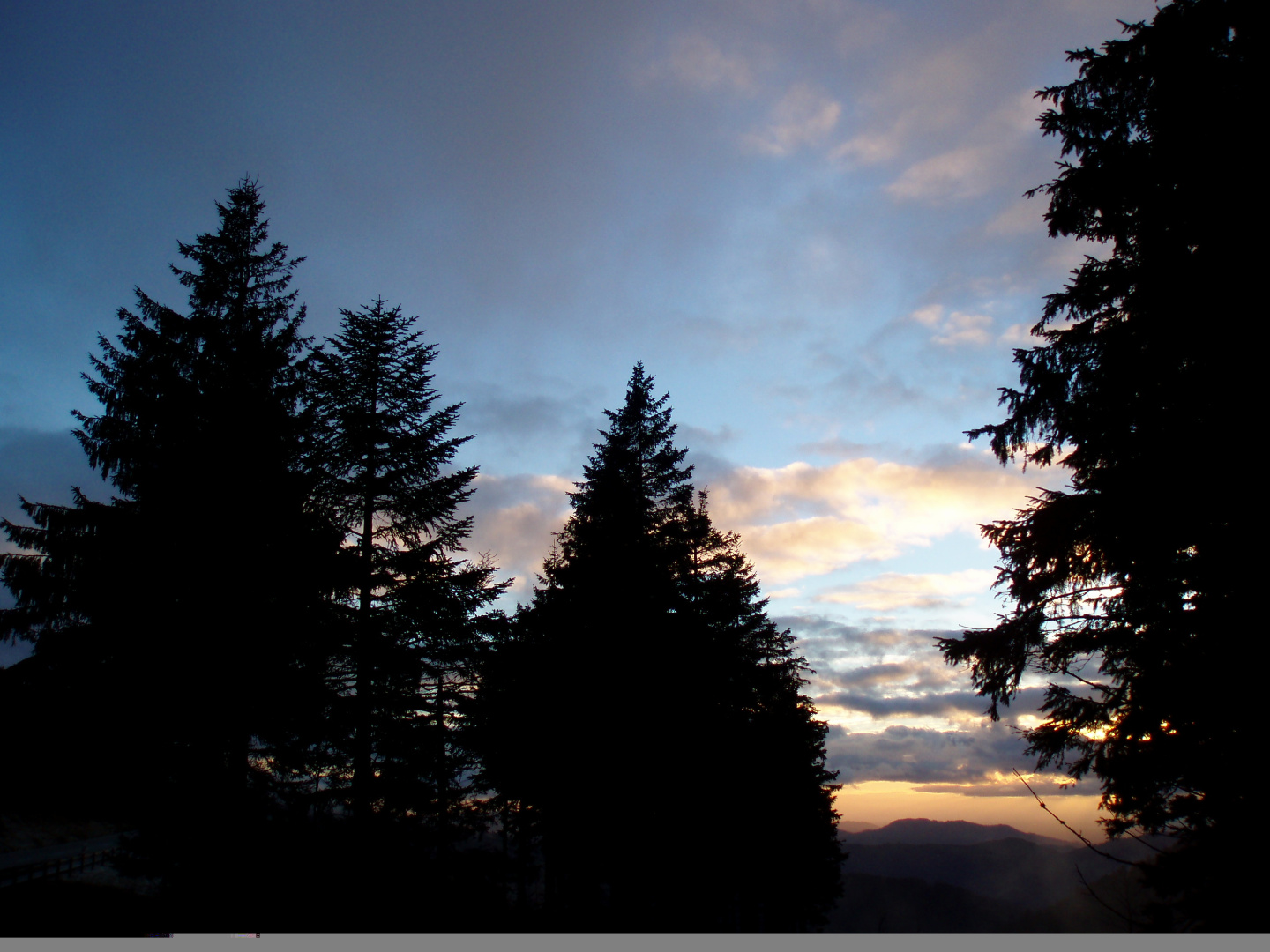 Schwarzer Schwarzwald