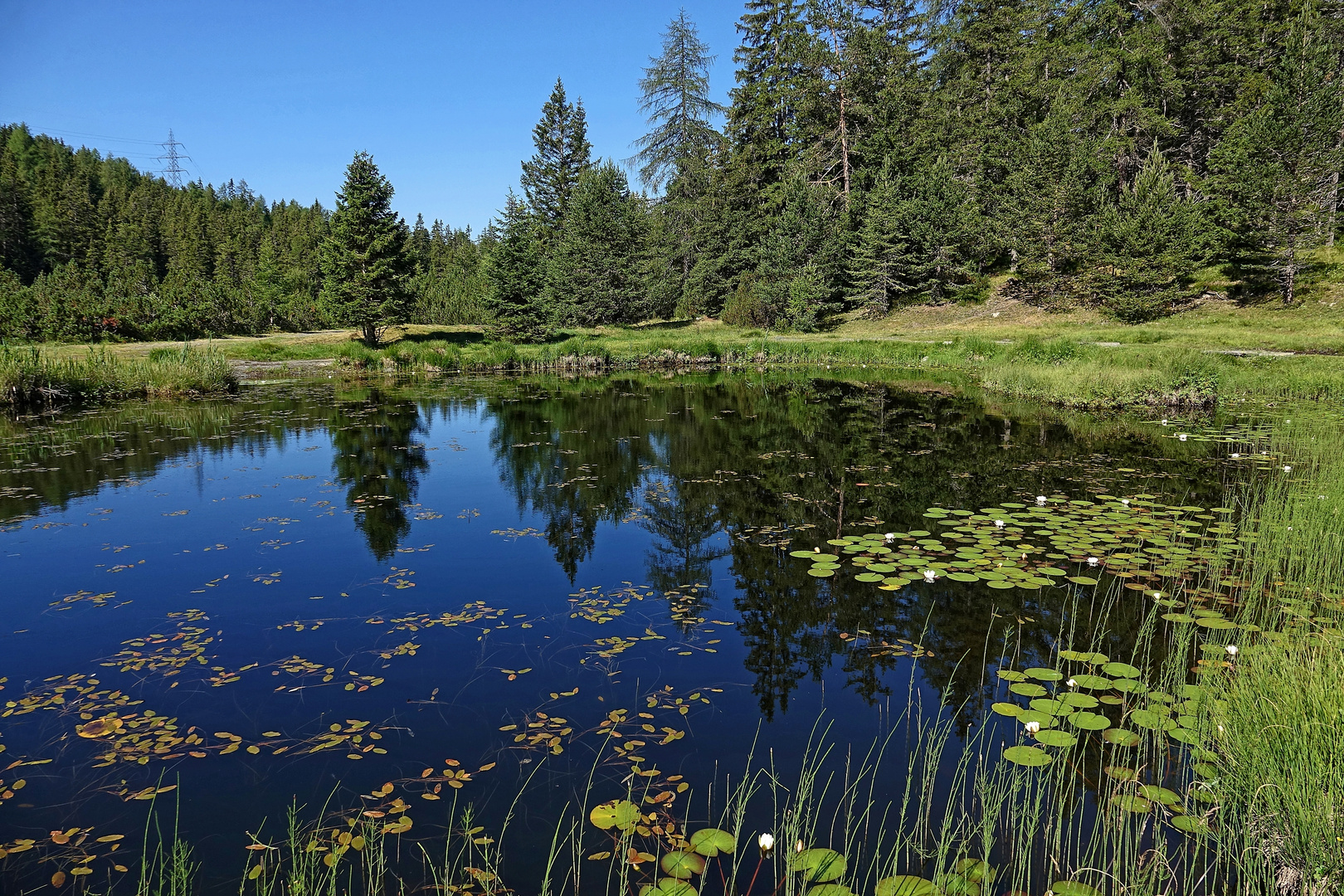 Schwarzer-See 1 Foto & Bild | landschaft, bach, fluss & see, see, teich ...