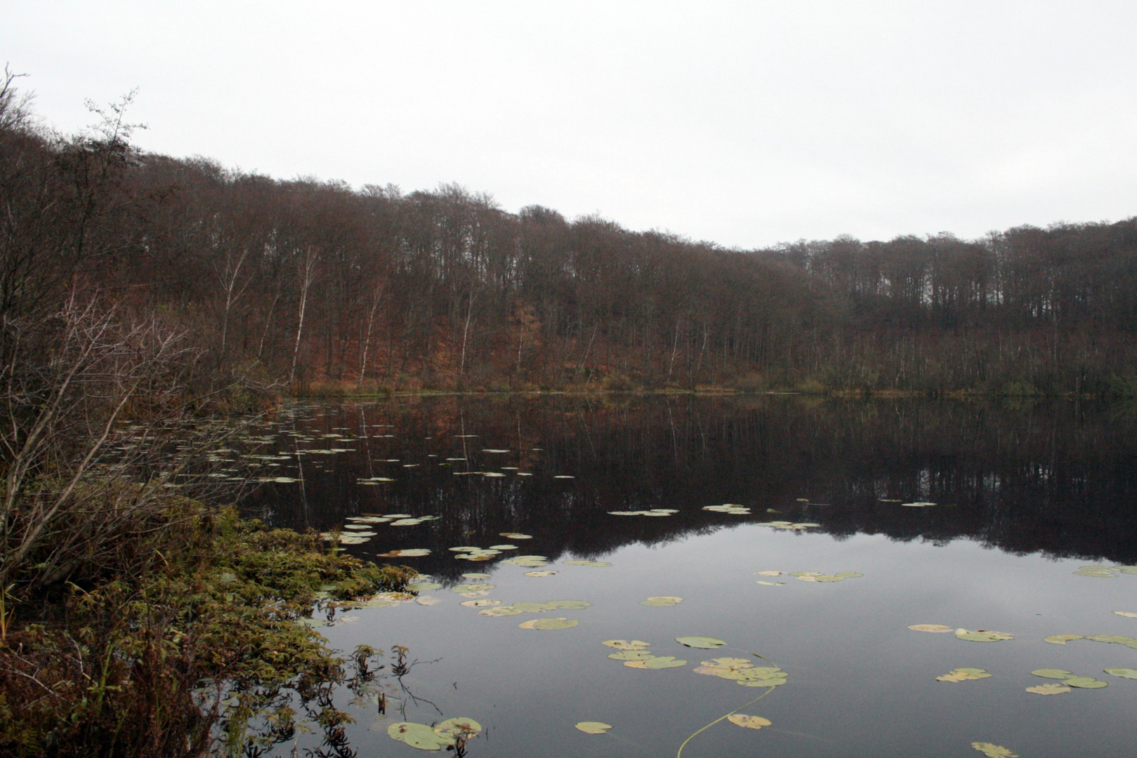 Schwarzer see(Granitz)