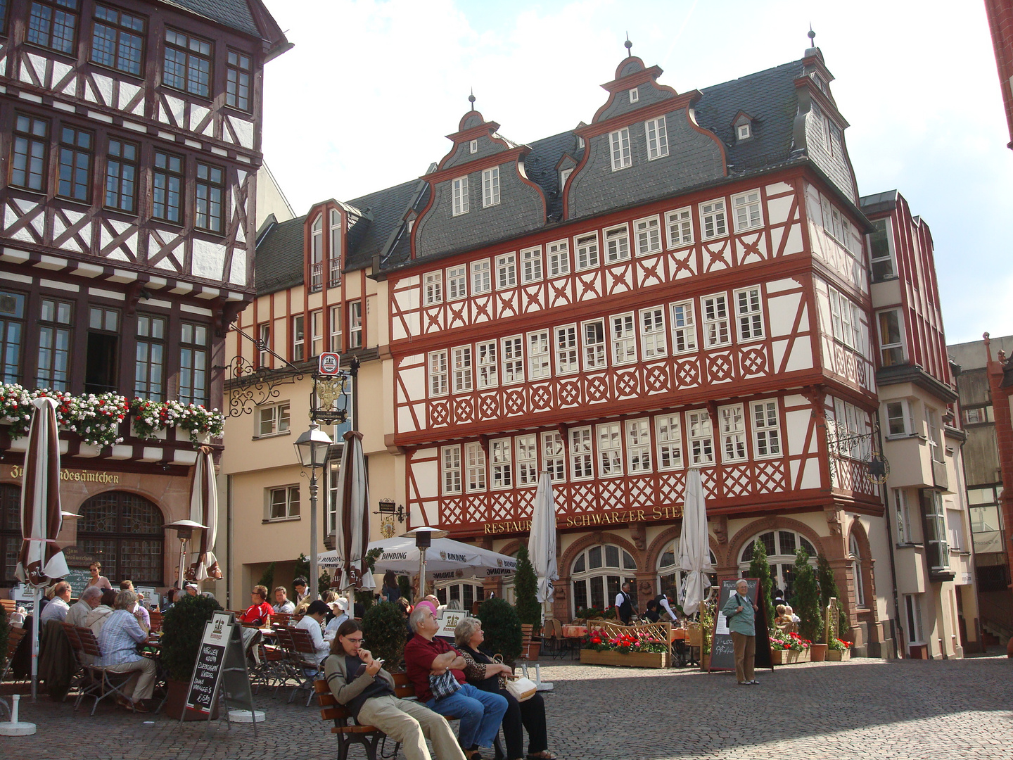 Schwarzer Stern / Altstadt Frankfurt