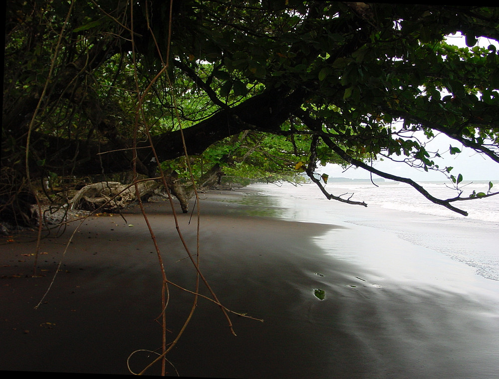 Schwarzer Strand von Limbe