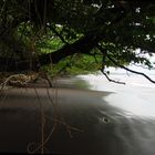 Schwarzer Strand von Limbe