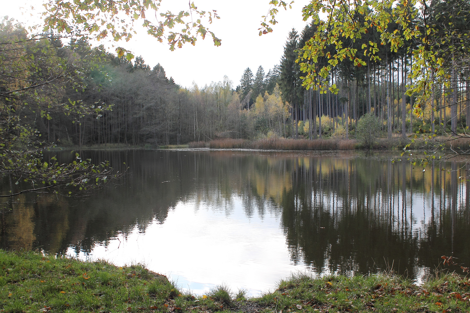 Schwarzer Teich Foto & Bild jahreszeiten, herbst, natur Bilder auf