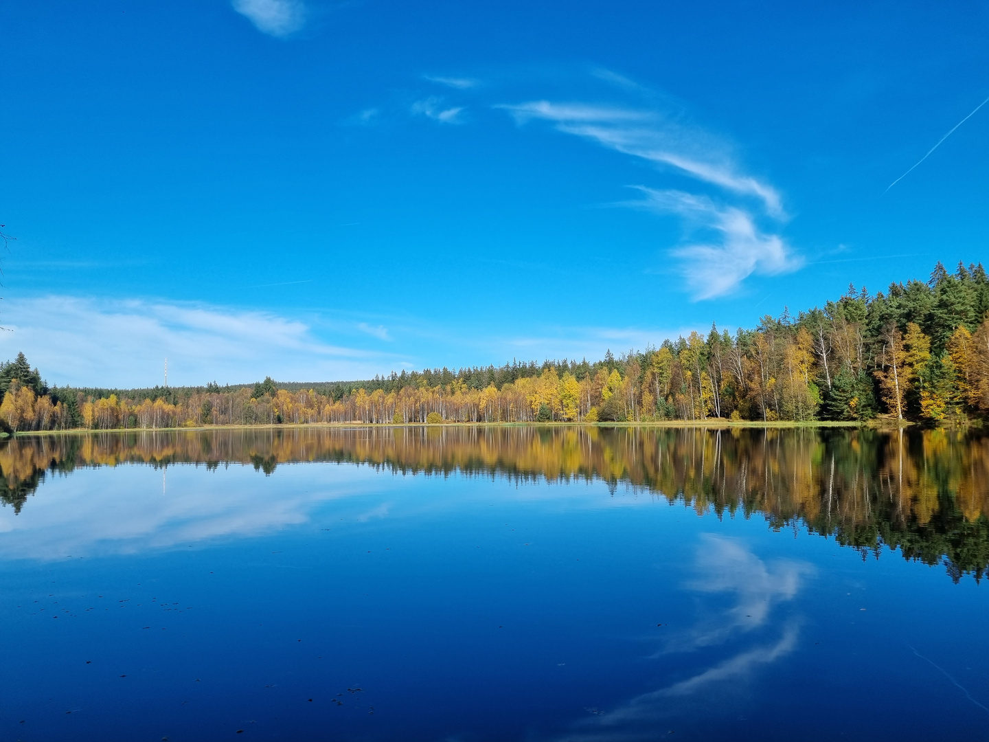 Schwarzer Teich