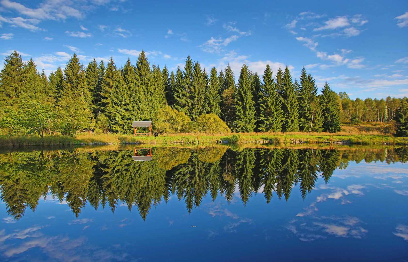 Schwarzer Teich Foto & Bild wasser, bäume, himmel Bilder auf