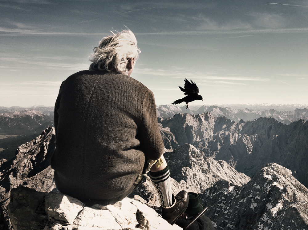 Schwarzer Vogel flieg dahin