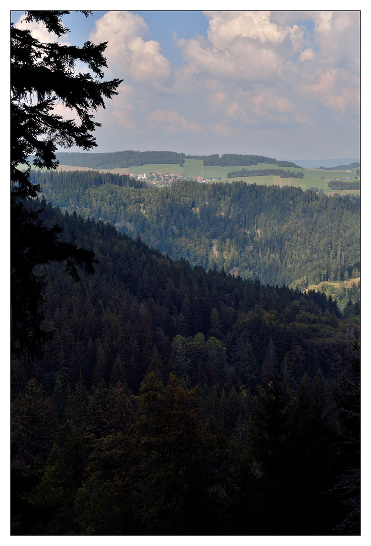 "Schwarzer Wald"