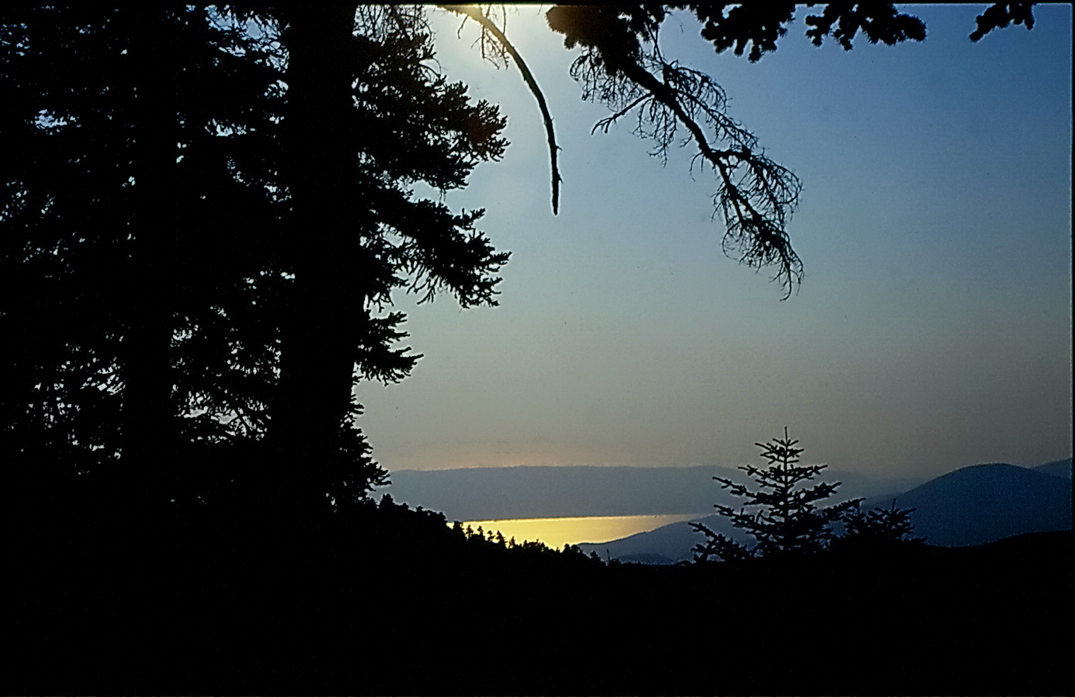 Schwarz(er)wald