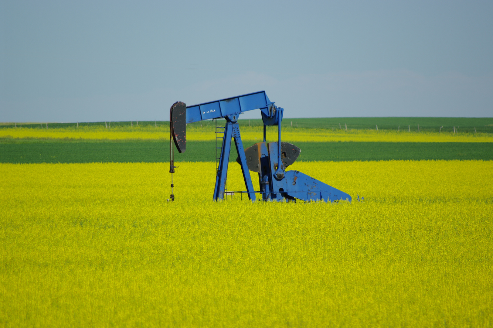 Schwarzes Gold in Alberta