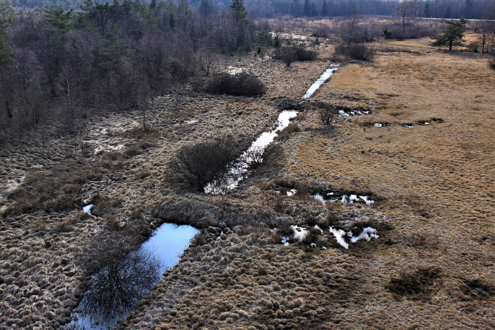 Schwarzes Moor (1)