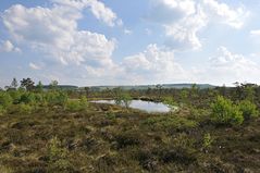 Schwarzes Moor: Eigene Welt mit hohem Wert 03