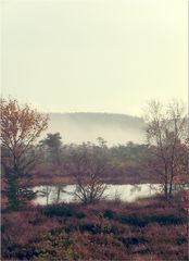 "schwarzes Moor".. eines der drei Mooraugen..