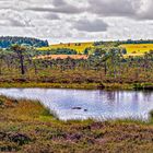 Schwarzes Moor HDR 