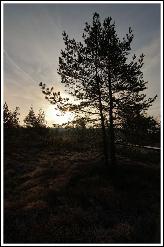 Schwarzes Moor im Sonnenaufgang