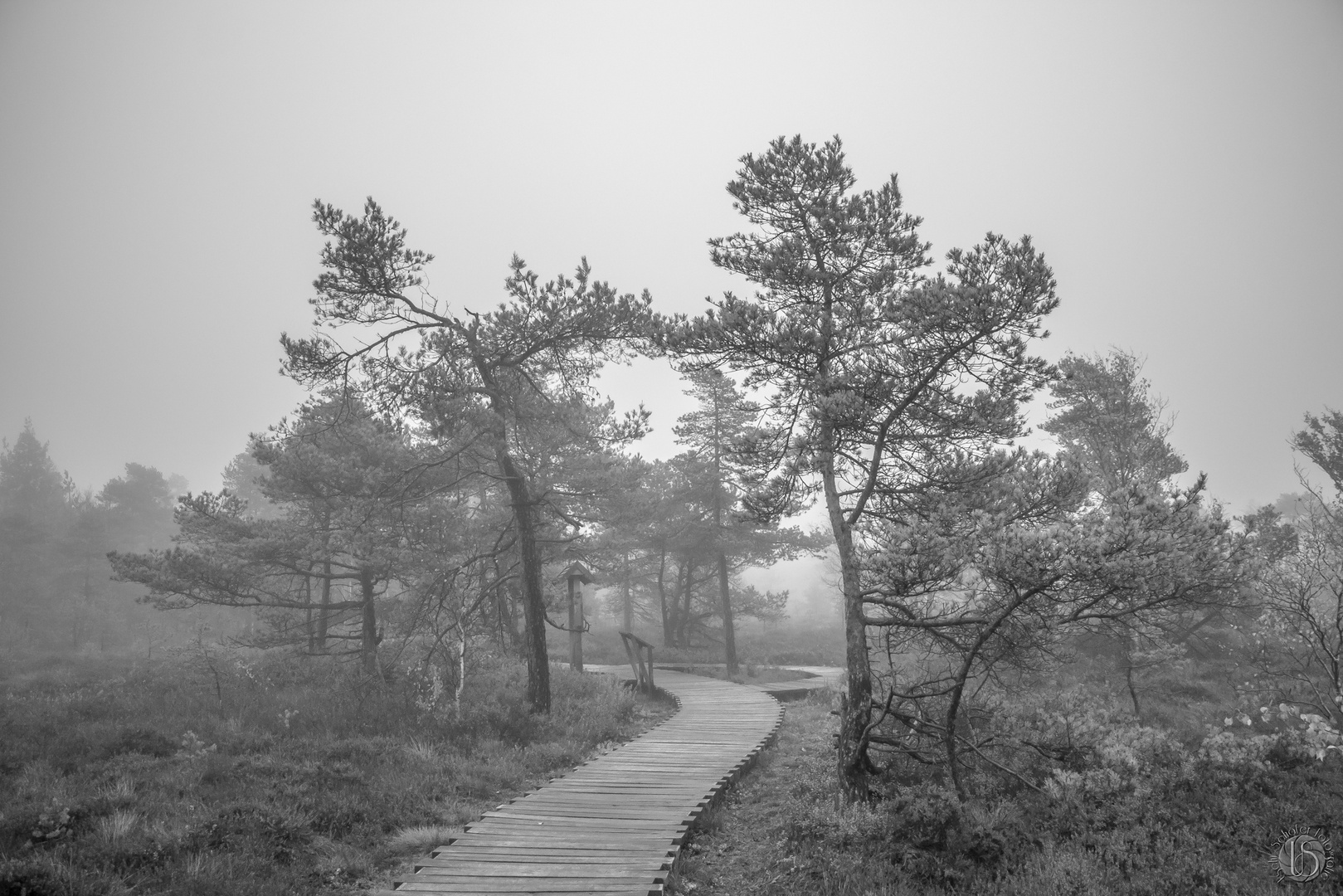 Schwarzes Moor in der Rhön