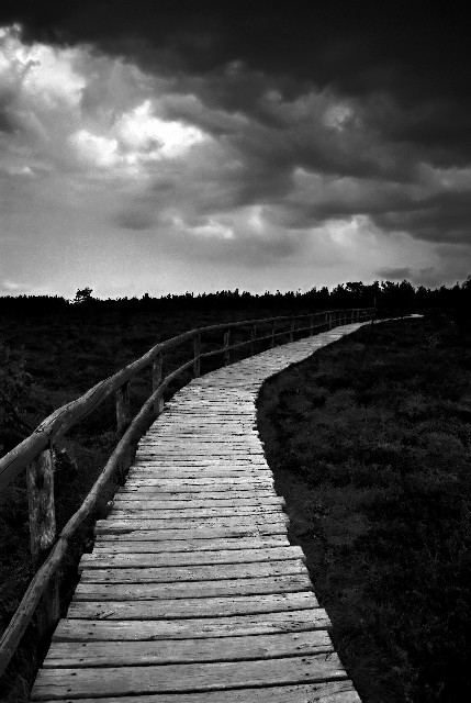 "Schwarzes Moor" in der Rhön [K]