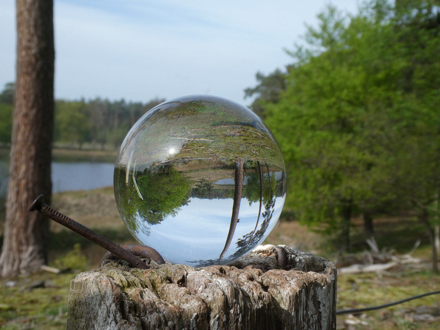 Schwarzes Wasser in Wesel