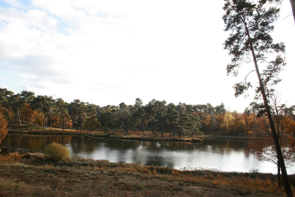 Schwarzes Wasser in Wesel 3