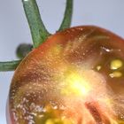 schwarze_Tomate_002