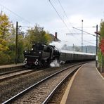 Schwarzfahrer im herbstlichen Farbenkleid